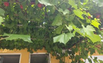 Hengdaohezi Jie'er Homestay