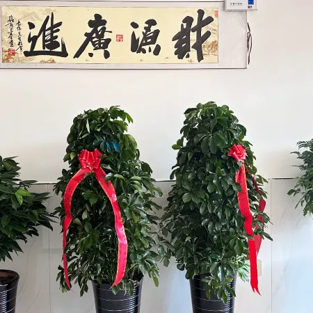 Hongyuan Business Hotel