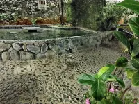 DaXiongHomestay - Hot Springs