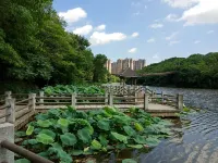 Grace Hotel Hotels in Hengyang