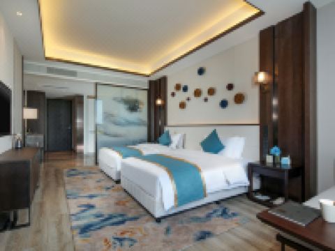 梓州明宇丽雅酒店(三台店) - 丽雅大客房