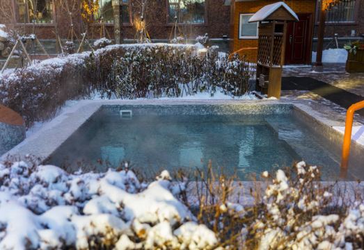 Dynasty Holy Land Hot Spring Hotel