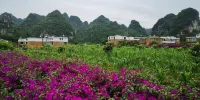 Recreation and health resort courtyard