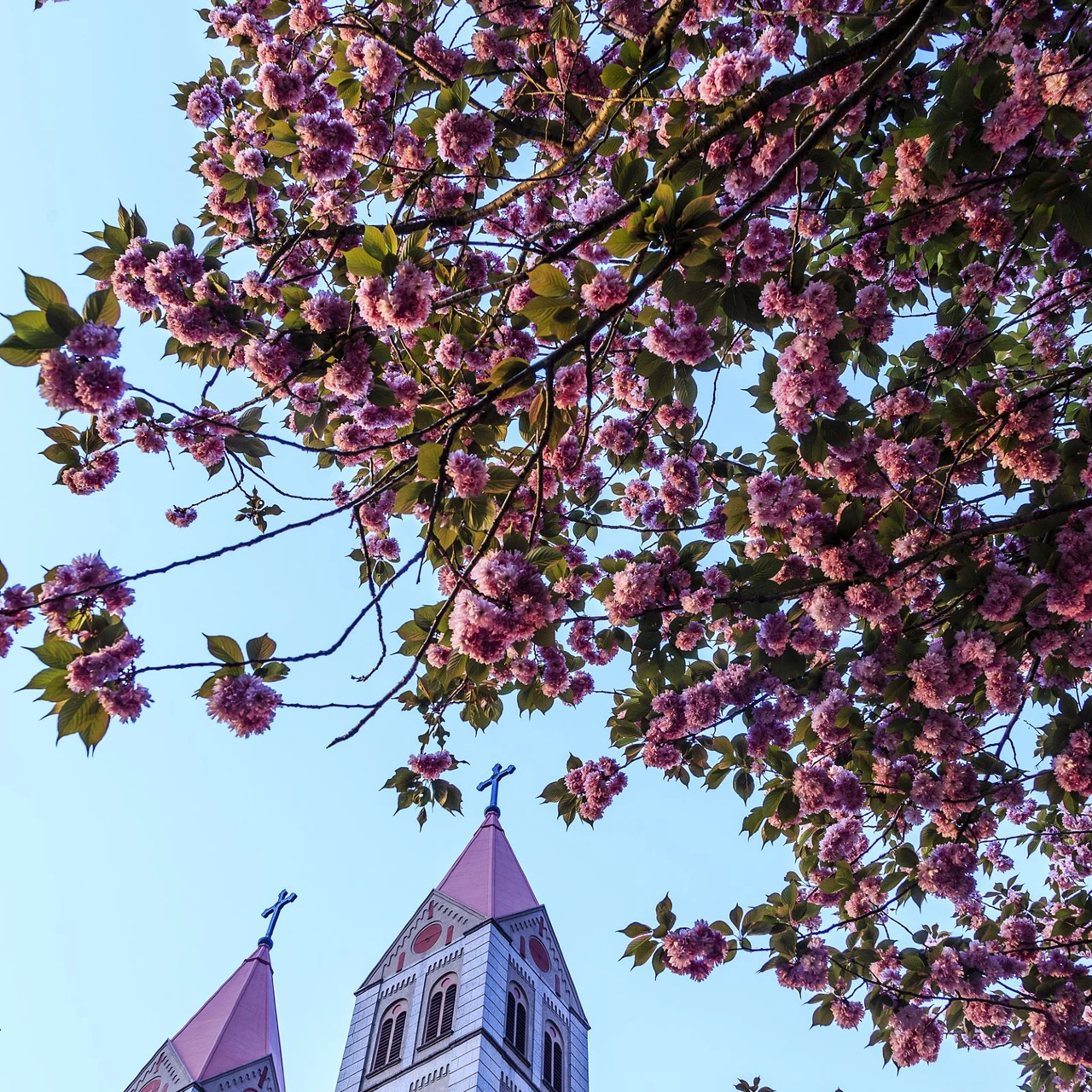<h1>極地海洋世界附近住宿飯店推薦</h1>