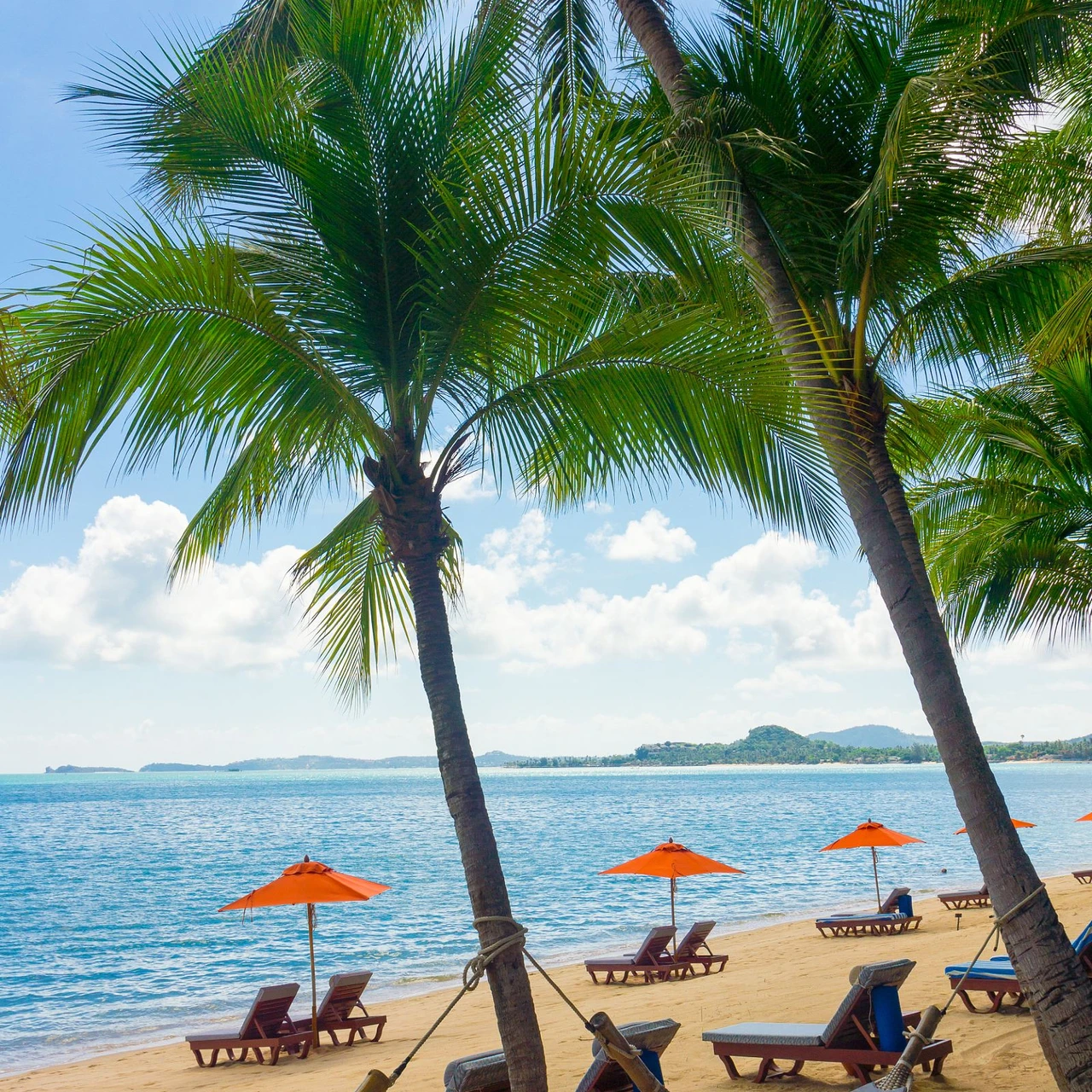 <h1>瓜埠碼頭附近住宿飯店推薦</h1>