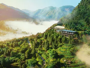 Yue Shan Tea Estate