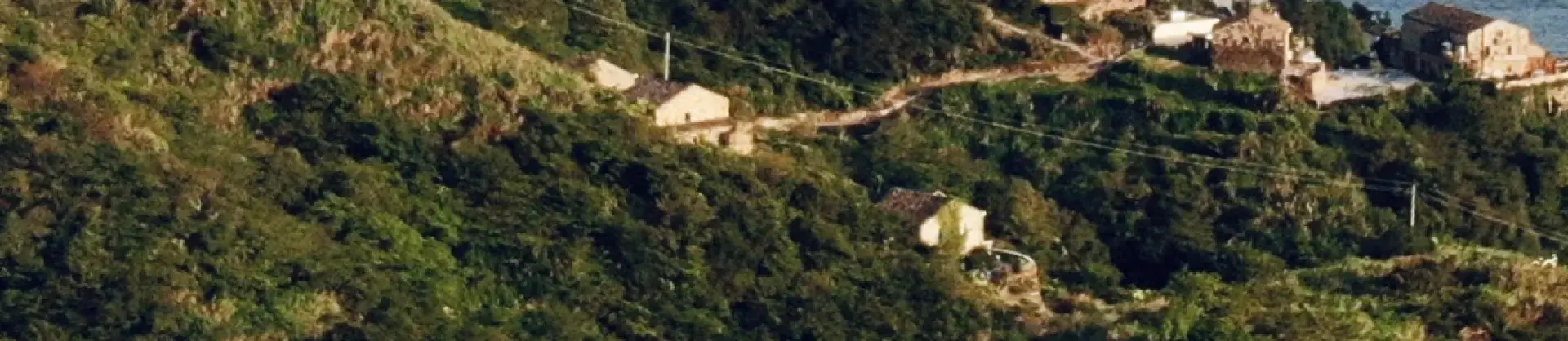 Vacation Homes