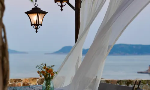 Yaojia   The sea star