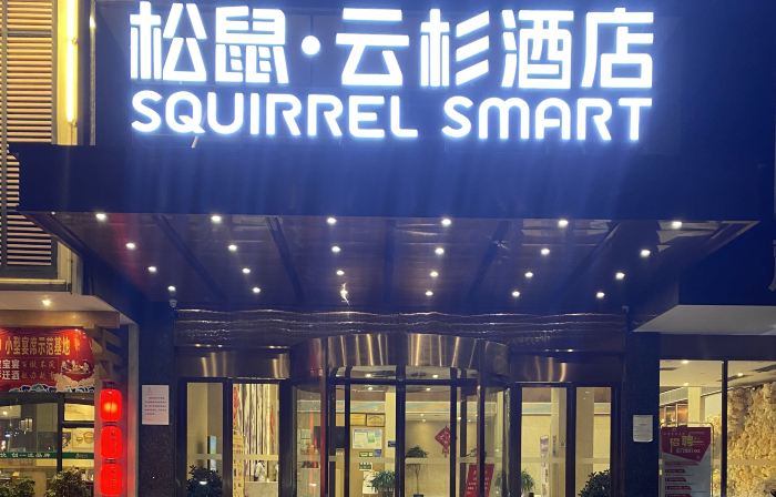 Squirrel Smart Hotel