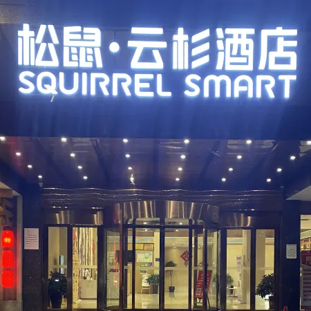 Squirrel Smart Hotel