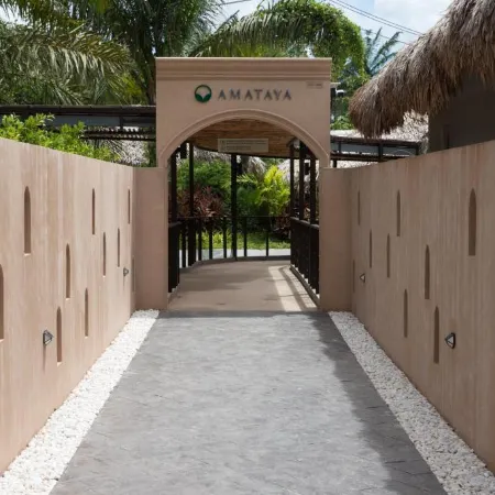 Amataya Wellness