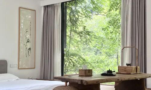 Suichang Feiyun Boutique Homestay
