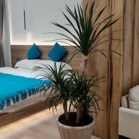 Xinyi Homestay