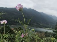 广州南山云溪山居 - 其他