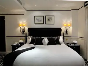 Hotel 41
