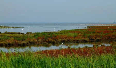 Hailin Holiday Hotel Отели рядом с достопримечательностью «Xueyuan Park»