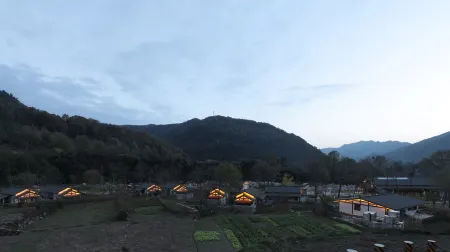 Yiman Gaocun Homestay Отели рядом с достопримечательностью «Plum Garden, Plum Forest, Pingtong Town»