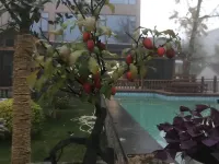 Changxing Chayunjuju - Rooftop Pools