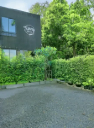 ทันนี โฮม โรงแรมใกล้i feed the buffalo