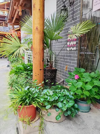 Zhangjiajie Wutong Hostel