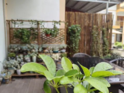 梵淨山喜悅民宿