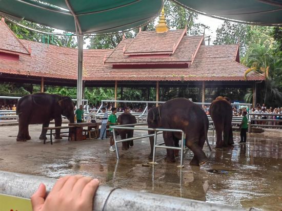 樸宿民宿（景洪告莊店）優惠