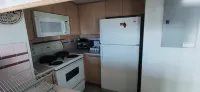 LXY Condo