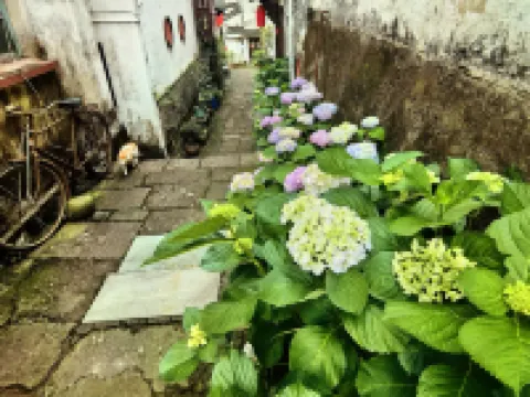 Lanxi Mushe Homestay (Zhuge Bagua Village Branch) Hotel di Lanxi