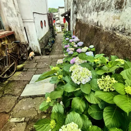 Lanxi Mushe Homestay (Zhuge Bagua Village Branch)