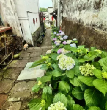 Lanxi Mushe Homestay (Zhuge Bagua Village Branch)