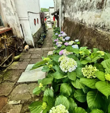 Lanxi Mushe Homestay (Zhuge Bagua Village Branch)