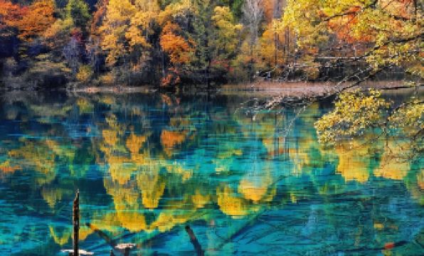 Wild Hidden Mountain Homestay