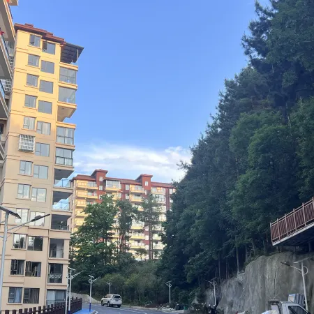 Peak Cloud Nest Homestay