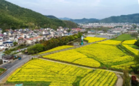 Anji Tingxian Farmstay (Yucun Village Liangshan Scenic Area)