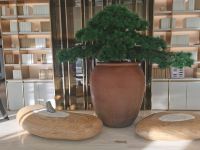 全季酒店(长春市政府店) - 公共区域