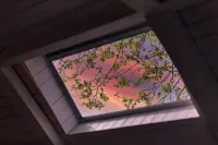 廬山閑林曦照別墅