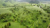 Lianshangxi Hot-spring Guesthouse - Mountain view