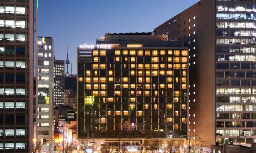 NINE TREE BY PARNAS SEOUL MYEONGDONG 2