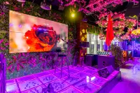 Meet Yue Hotel - Quầy bar