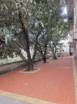 loquat garden farm