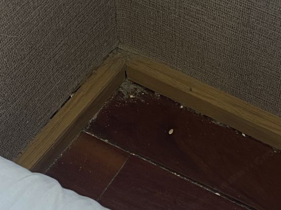 廈門金後飯店（中山路步行街店）優惠