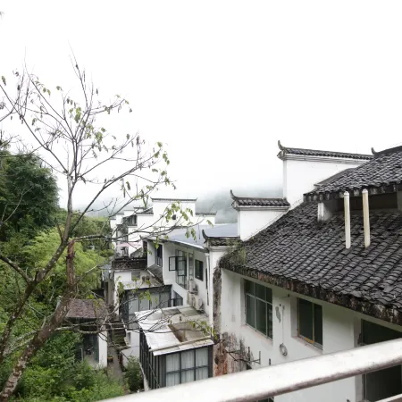 Fanjingshan Chenshan Shuyuan ( Fanjingshan East store