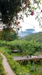 Pingnan Xiaofudi Homestay