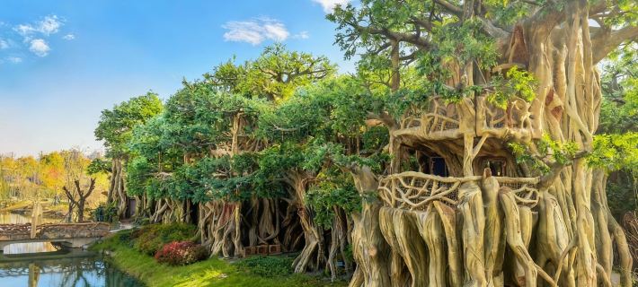 Suqian Sendi Tribe Treehouse Hotel Hotels in Suqian