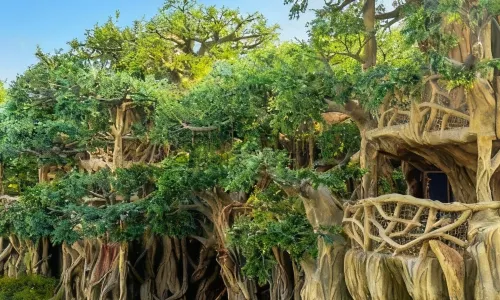 Suqian Sendi Tribe Treehouse Hotel
