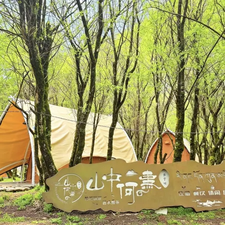 Mountain Whys Campsite