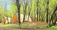 Mountain Whys Campsite - New