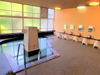 Seiryuso Hotels in Misasa