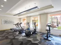Hotel the Celestine Tokyo Shiba - Gym