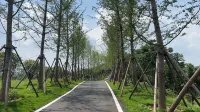 Wuhan La Lilagu B&B Отели рядом с достопримечательностью «Wu Guanghao Martyr's Former Site»